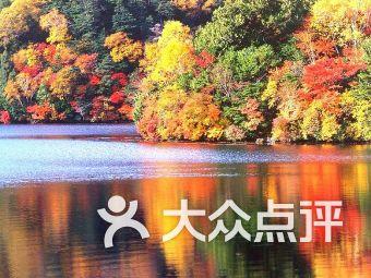 杀出重围人类分裂